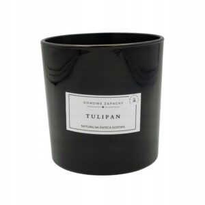 100d2b6b524940ac795c8246fe7d6094