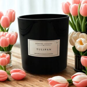 0fc90707cb20b63ba757c22a90943ae8